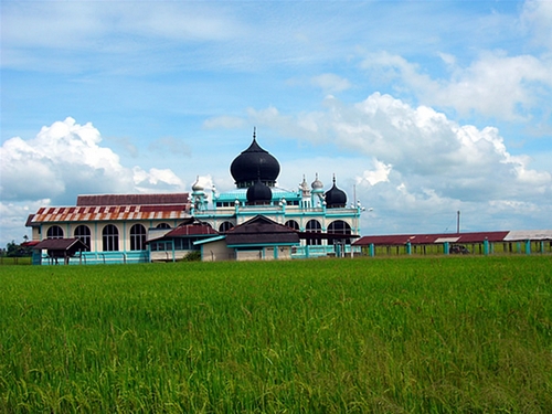 Mosque-middle-padi-field-Alor-Setar-Kedah